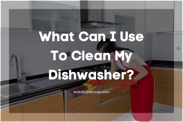 Female wiping down dishwasher door