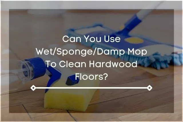 Sponge, spray bottle and mop on hardwood floor