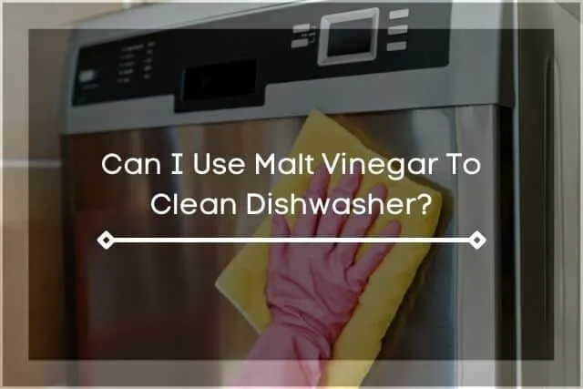 Sponge wiping dishwasher door