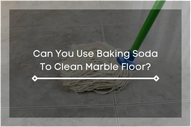 Mop cleaning marble floor