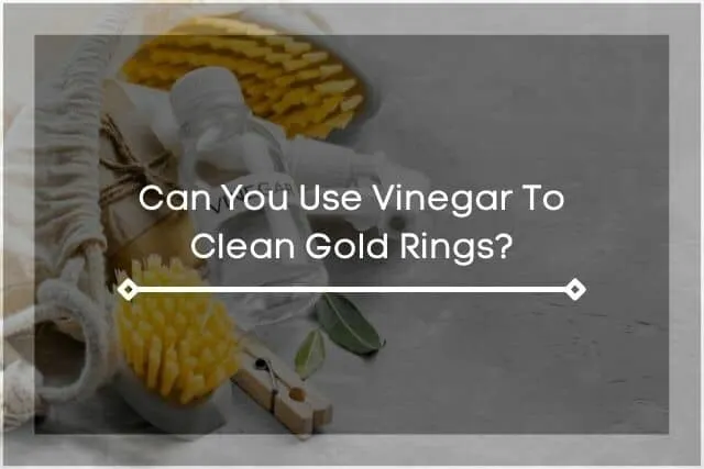 Vinegar cleaning solution with supplies