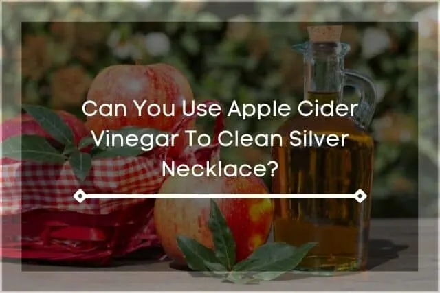 A shot of apple cider vinegar with apples 