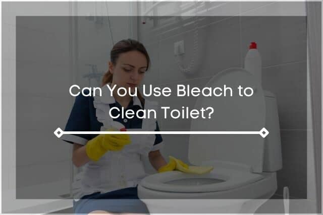 Photo showing a maid cleaning a toilet using bleach