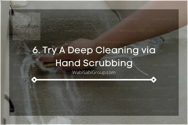 Hand scrubbing shampoo carpet