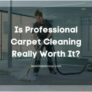 A photo of a professional cleaner cleaning the carpet