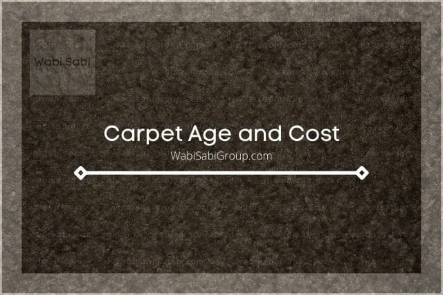 A photo of a brown carpet