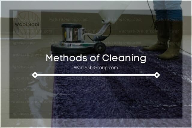 A photo of a professional cleaning the carpet