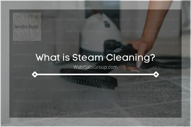 A photo of a person steam cleaning the carpet