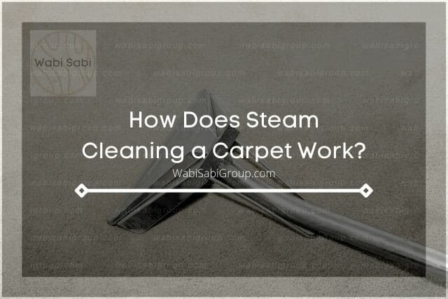 A close up photo of a metallic steam cleaner cleaning the carpet