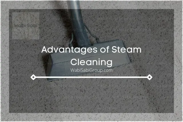 A photo of a steam cleaner cleaning the white carpet