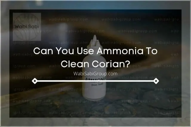 A photo of a bottle of Ammonia