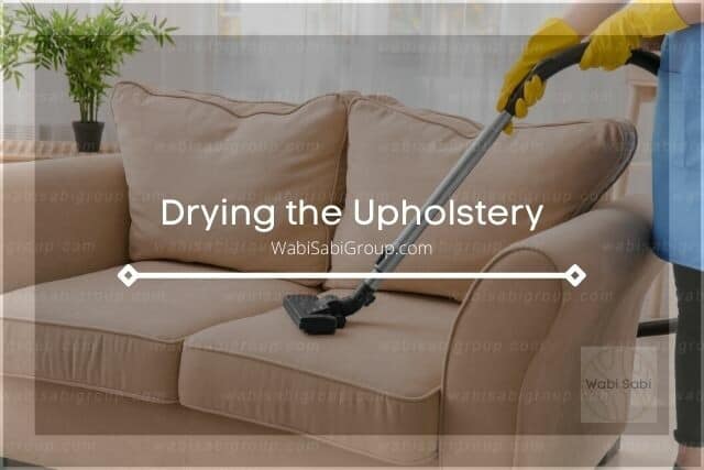 Vacuuming sofa upholstery