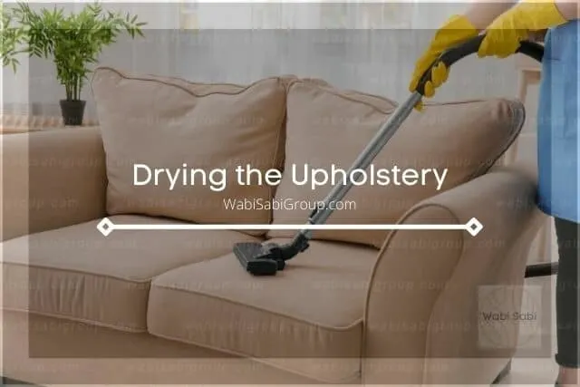Vacuuming sofa upholstery