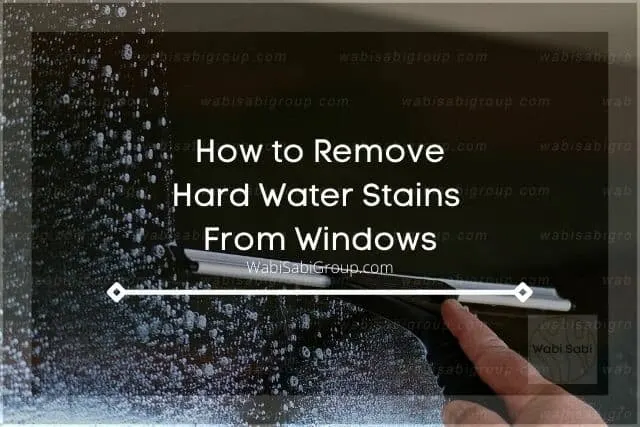 Using squeegee to clean window